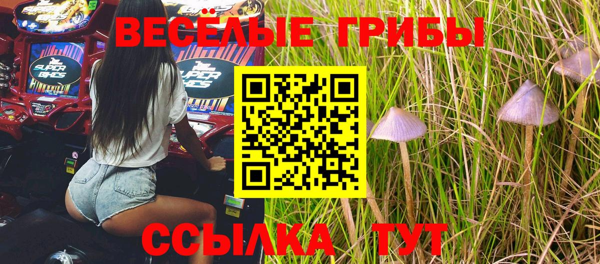 Псилоцибиновые грибы мицелий Майкоп